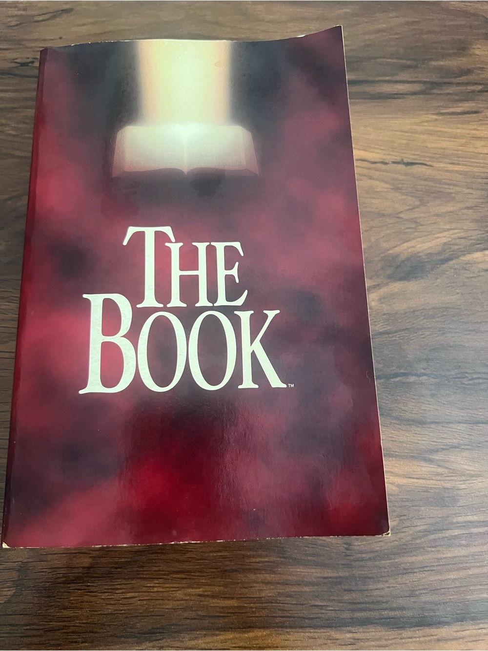 The Book Paperback Bible Tyndale House Publishers 1996 First Edition English 502